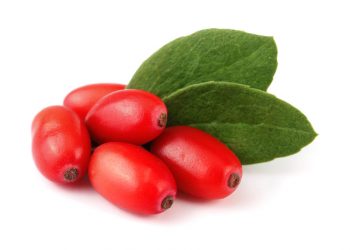 Wonderful Health Benefits of Barberry